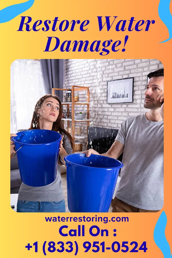 water restoration Expert Water Cleanup Authority Forest Hills