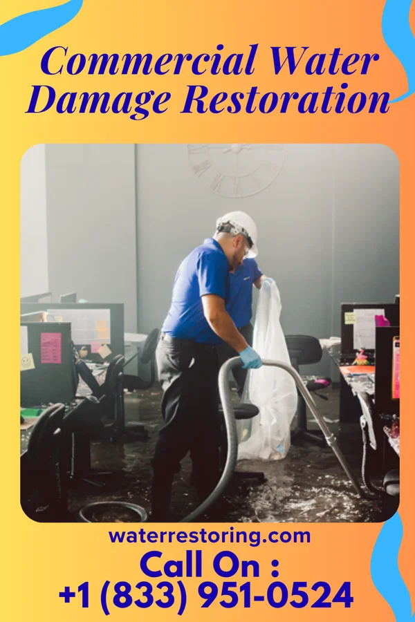 Commercial Water Damage Restoration in Forest Hills, TN