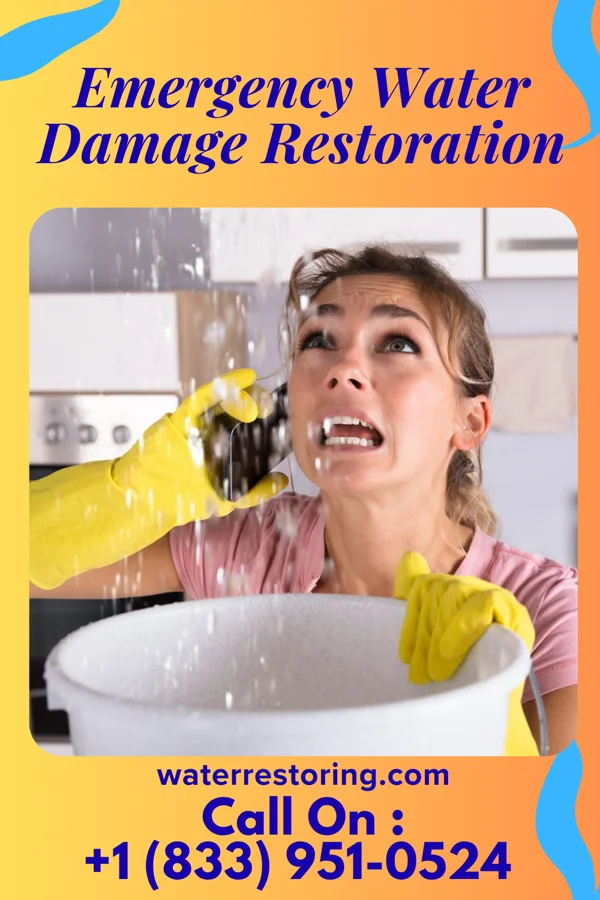 Emergency Water Damage Restoration in Forest Hills, TN