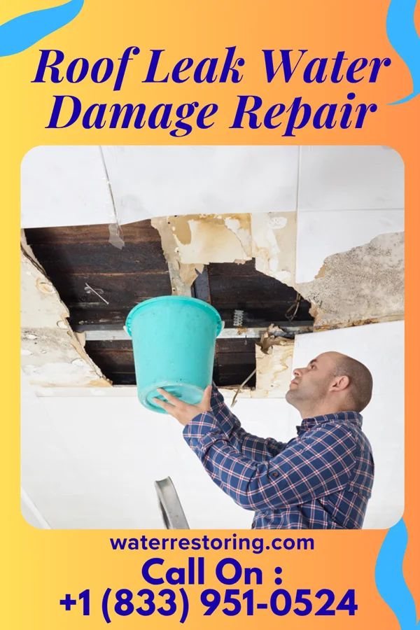Roof Leak Water Damage Repair in Forest Hills, TN