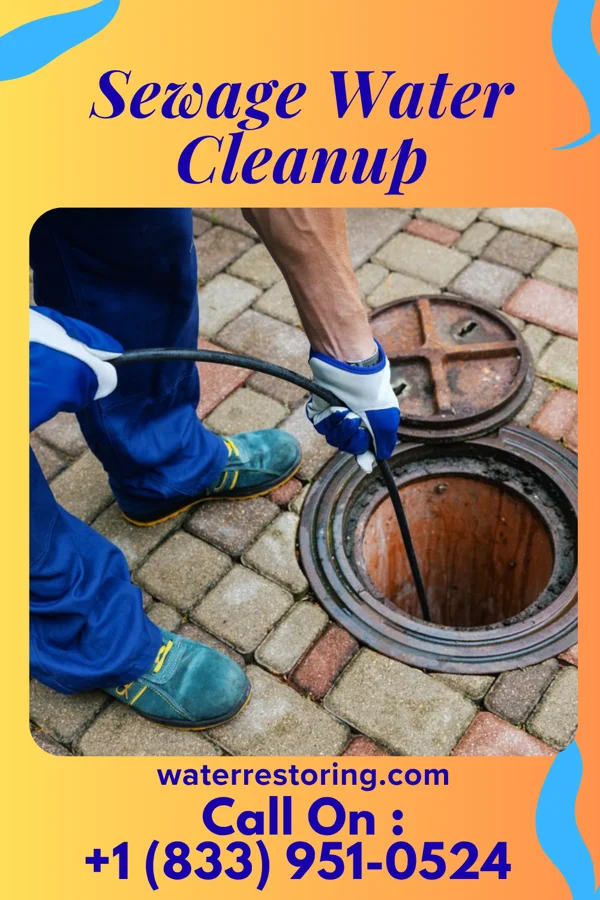 Sewage Water Cleanup in Forest Hills, TN
