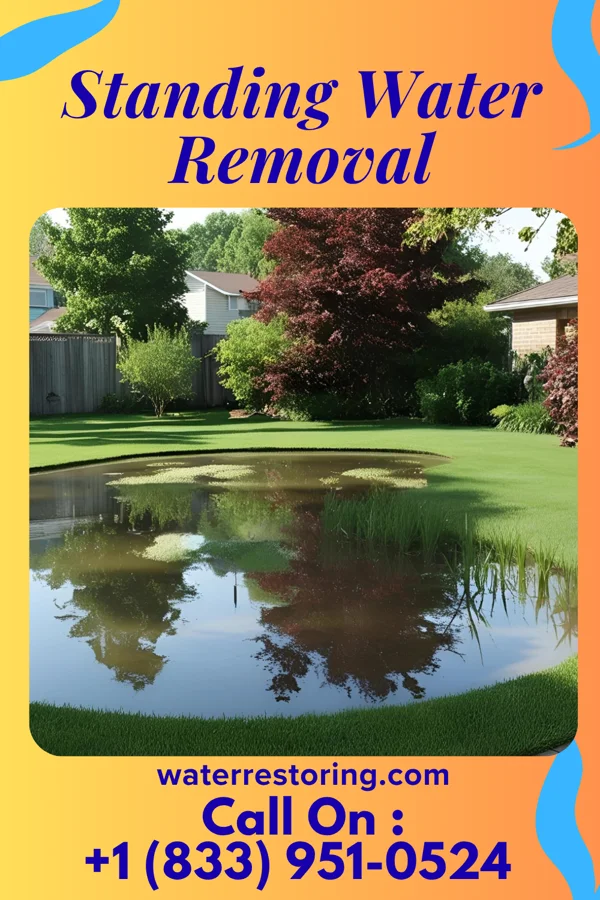 Standing Water Removal in Forest Hills, TN
